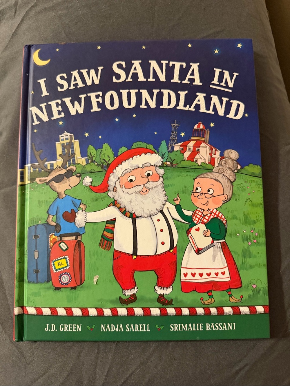 I Saw Santa in Newfoundland - Holiday Picture Book (Blue/Red)
